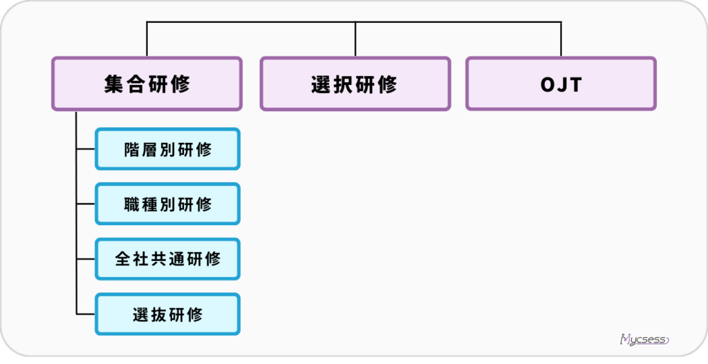 階層別研修　違い　種類